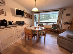 Appartement au pied des pistes avec balcon sud, 5 couchages, piscine, animaux acceptés - FR-1-330F-212